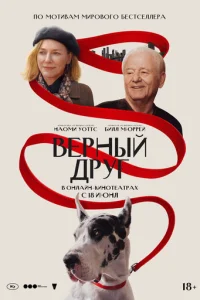 Bepʜӹil1 ∂pyr