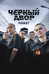 Ӵepʜӹil1 ∂10100p. Ո0бer